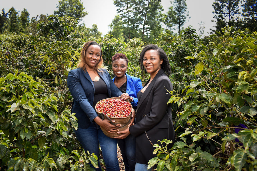 Ukiira Coffee in the News!